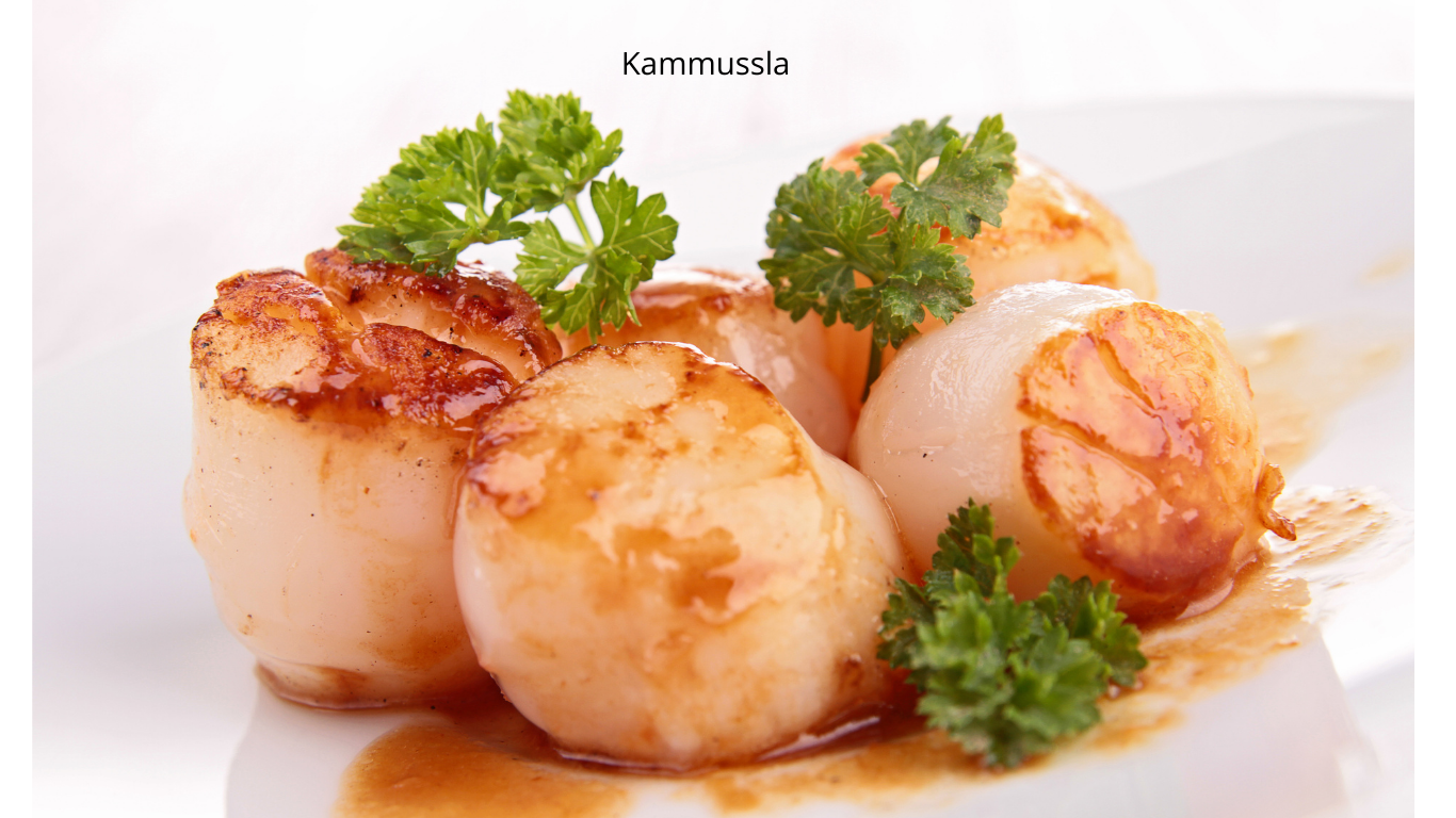 Kammusslor / Pilgrimsmusslor 10/20 – 1 kg, Frysta & MSC-certifierade– Skaldjurslyx med Mild & Söt Smak