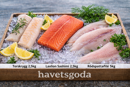 Familjelådan – Havets bästa för hela familjen