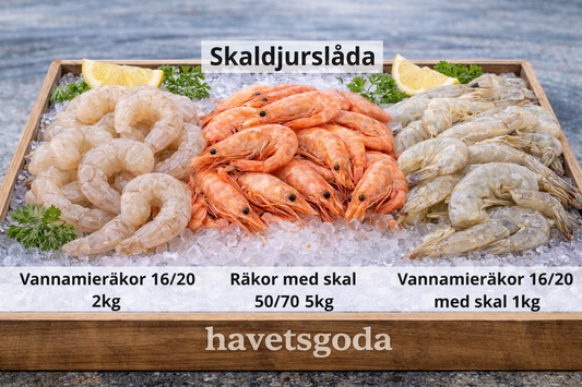 Skaldjurslådan – Havets läckerheter för alla tillfällen