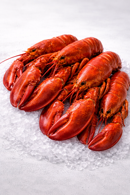 Amerikansk Hummer 500g – Lyxig Hel Hummer