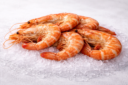Kokta Tigerräkor (Gambas) 10/15 2kg– Stora & Smakrika | Hel med Skal 650kr/kg