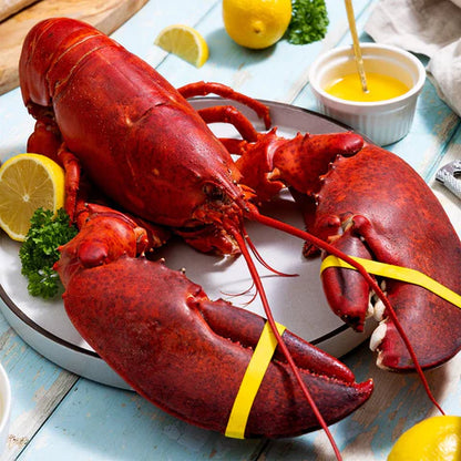Amerikansk Hummer 500g – Lyxig Hel Hummer