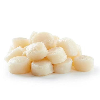 Kammusslor / Pilgrimsmusslor 10/20 – 1 kg, Frysta & MSC-certifierade– Skaldjurslyx med Mild & Söt Smak