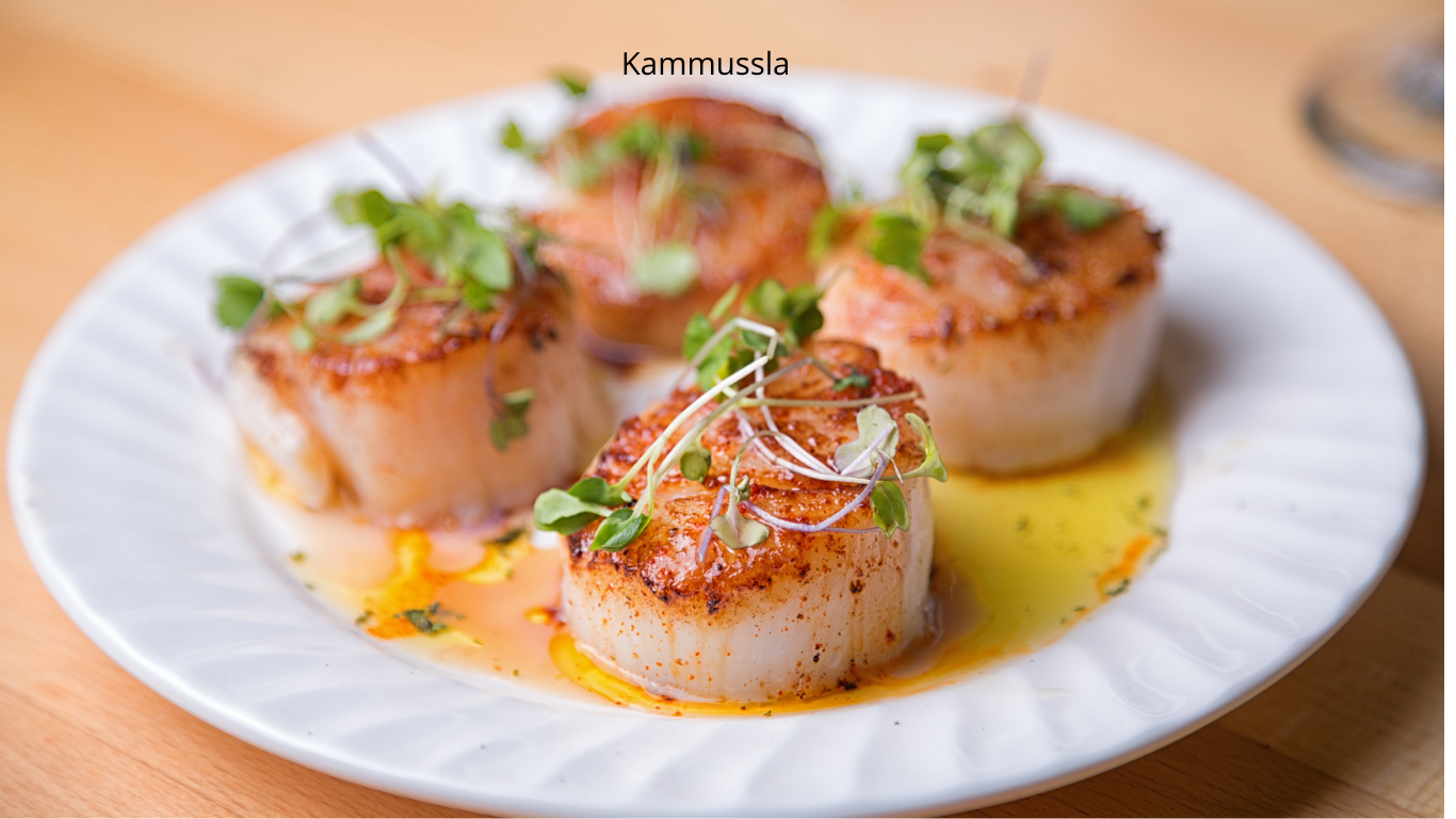 Kammusslor / Pilgrimsmusslor 10/20 – 1 kg, Frysta & MSC-certifierade– Skaldjurslyx med Mild & Söt Smak