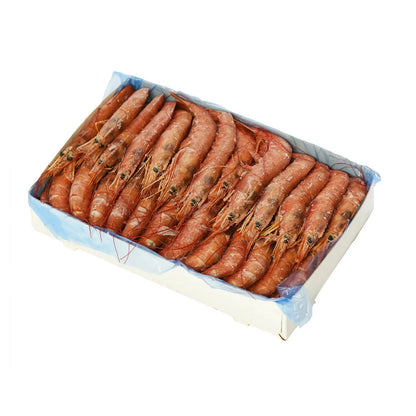 Argentinska Rödräkor 10/20 2kg – Frysta jätteräkor 300kr/kg