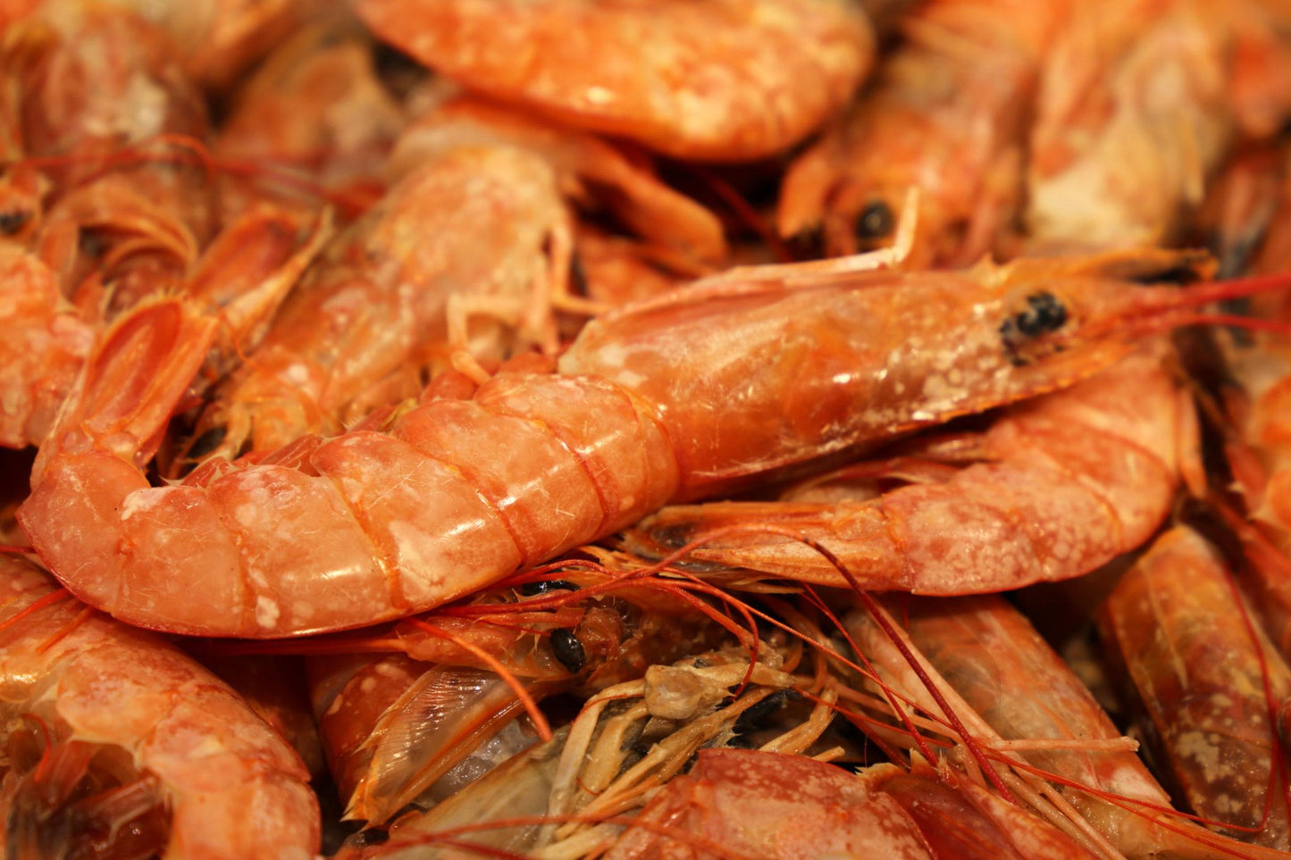 Argentinska Rödräkor 10/20 2kg – Frysta jätteräkor 300kr/kg